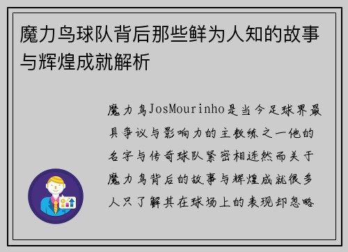 魔力鸟球队背后那些鲜为人知的故事与辉煌成就解析 魔力鸟球队背后那些鲜为人知的故事与辉煌成就解析