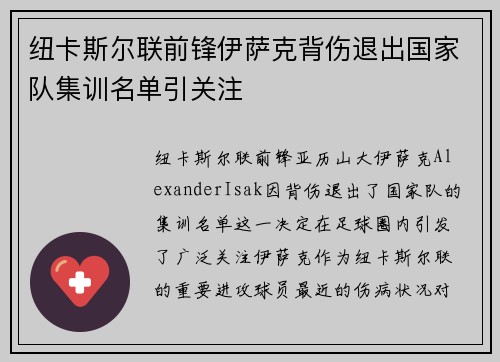纽卡斯尔联前锋伊萨克背伤退出国家队集训名单引关注