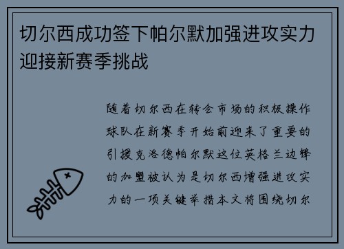 切尔西成功签下帕尔默加强进攻实力迎接新赛季挑战